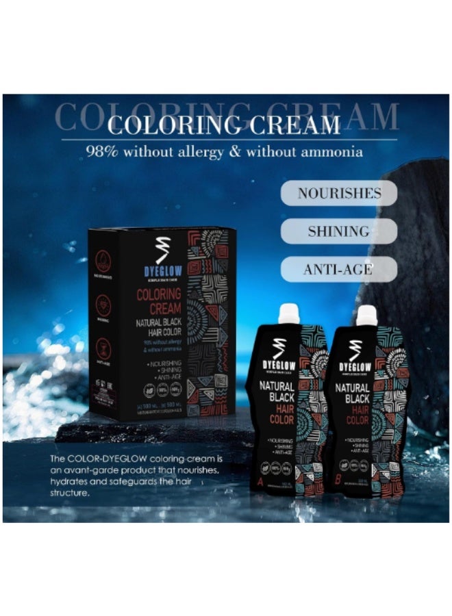 DyeGlow Hair Color Cream – Natural Black | Ammonia-Free & Non-Allergic Hair Dye | Nourishing & Anti-Aging Formula | 1000ml (500ml + 500ml) - Image 2